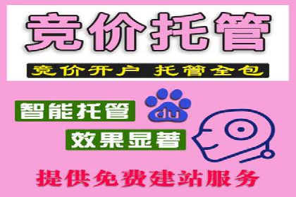 SEM托管服务，成功案例分享转化秘诀